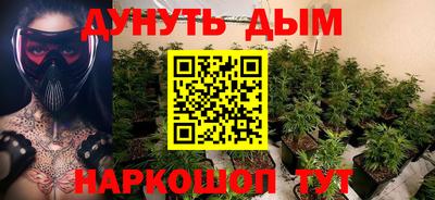 PSILOCYBIN Гатчина