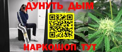 бошки Гагарин