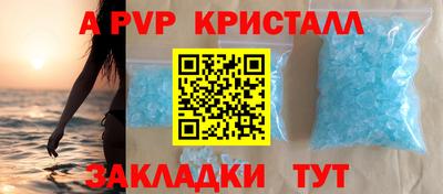 PSILOCYBIN Гатчина