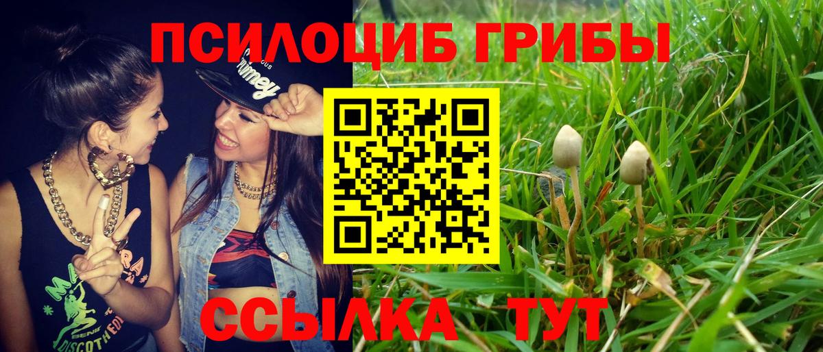 Галлюциногенные грибы Cubensis  Вход с VPN  Наро-Фоминск 