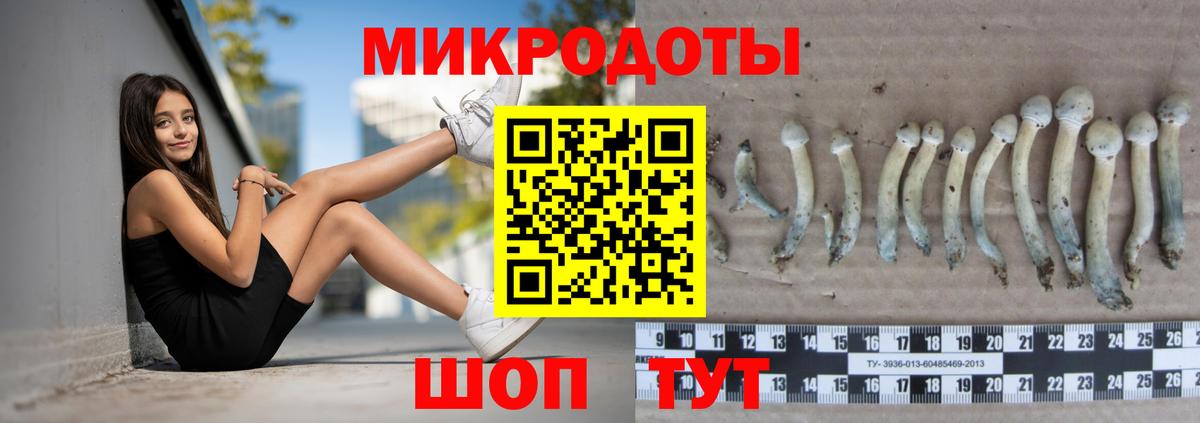 Псилоцибиновые грибы прущие грибы Наро-Фоминск